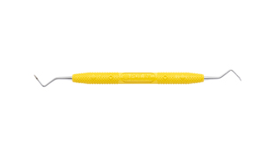 Cattoni 107-108 Posterior
