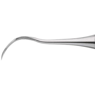Nevi Sickle Scaler Anterior