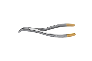 Root Forceps TC