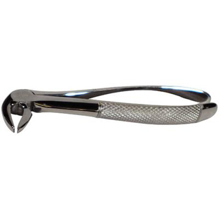 Extracting Forceps 13 English