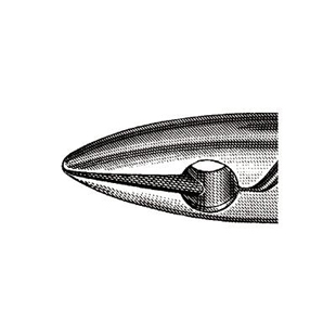 Standard Extracting Forceps 1
