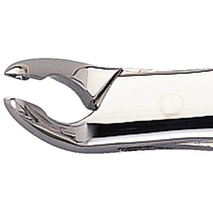 Extracting Forceps 203 Lower