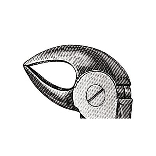 Extracting Forceps 33 English