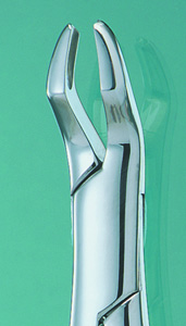 Extracting Forceps 53L