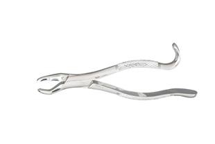 Extracting Forceps 53L