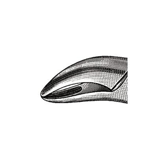 Extracting Forceps 62 Upper &