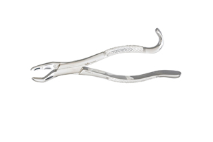Extracting Forceps 859