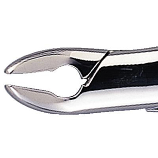 Extracting Forceps 85A Lower