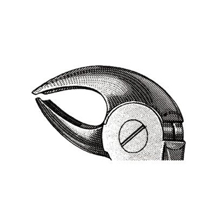 Extracting Forceps MEAD MD3