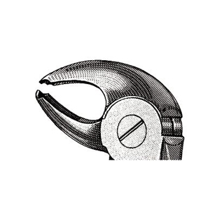 Extracting Forceps MEAD MD4