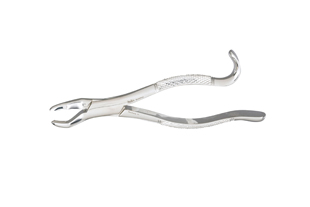 Extracting Forceps Xcision 34