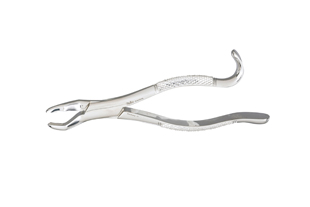 Extracting Forceps Xcision 36