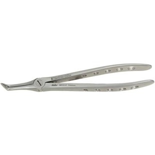 Extracting Forceps Xcision 45