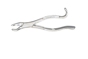 Extracting Forceps Xcision 67