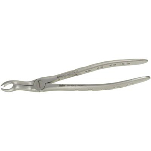Extracting Forceps Xcision 67L