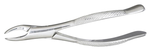 VANTAGE Extracting Forceps 69
