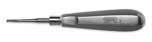 Elevator 304B Apical Blunt