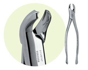 Extracting Forceps