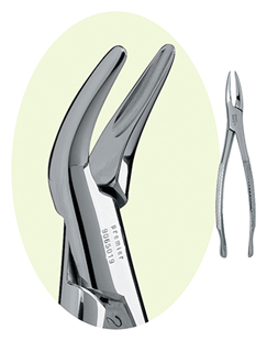 Extracting Forceps Root 69