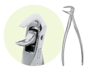 Extracting Forceps