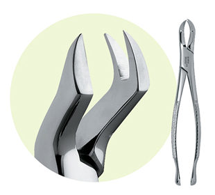 Extracting Forceps
