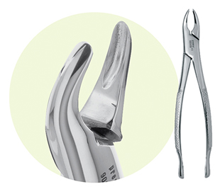 Extracting Forceps