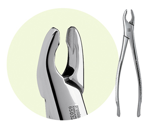 Extracting Forceps