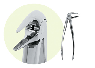 Extracting Forceps Lower
