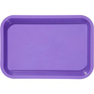 Lockable Flat Tray Size F Neon Pink 1/Each by Practicon