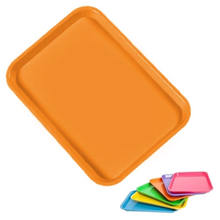 Setup Tray Ritter Size B Flat