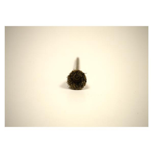 Abbott-Robinson Bristle