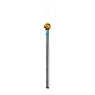 Euro Carbide Goldies Bur HP