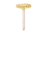 Twist Porcelain Polisher RA