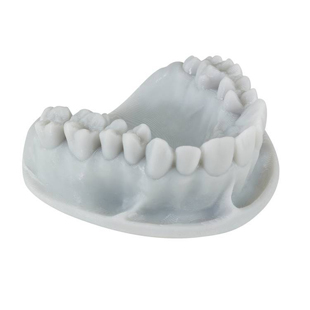 KeyPrint KeyOrthoModel 3D