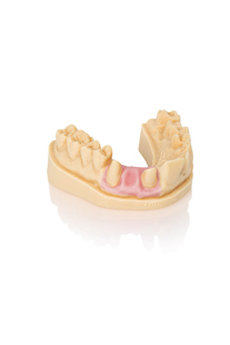 dima Print Gingiva Mask