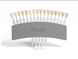 Zolid Bion Shade Guide