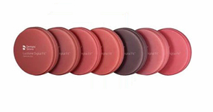 Lucitone Digital Fit Denture