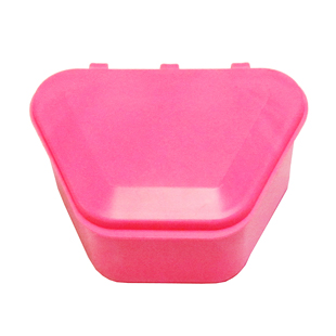 Denture Storage Boxes 1.75"