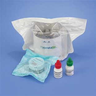 Smart Dentin Grinder Chambers