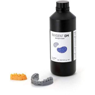 RAYDENT DM 3D Printer
