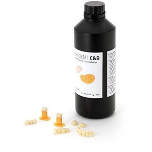 RAYDENT C&B 3D Printer
