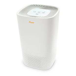 Air Purifier for Small Room