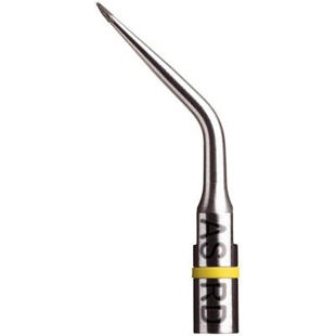 ASRD Right Oriented Apical