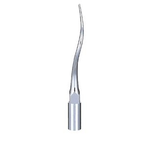P21R Varios Perio Right Curved