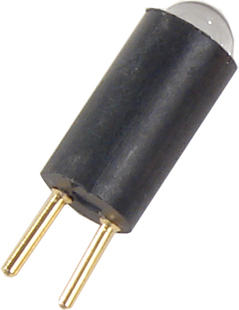 Bulb For Bien Air Electric