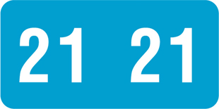 Year Code Labels 2021