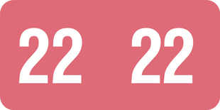 Year Code Labels 2022