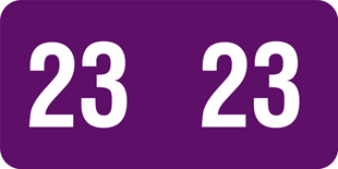 Year Code Labels 2023
