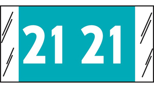 Year Code Label 2021 Light