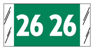 Year Code Label 2026 Green